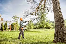 Best Arborist Consultation Services  in Union Point, GA